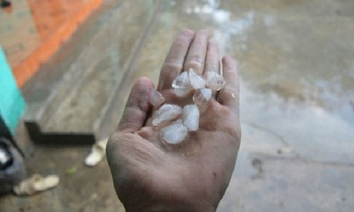 Mua da o Thanh Hoa co kich co to bang dau ngon tay