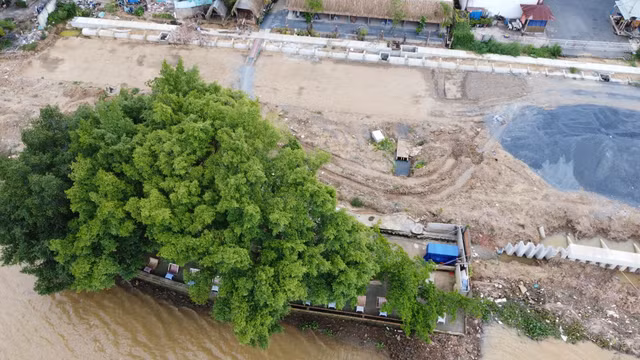 Can canh du an duong ven song Dong Nai truoc nguy co cham tien do-Hinh-11