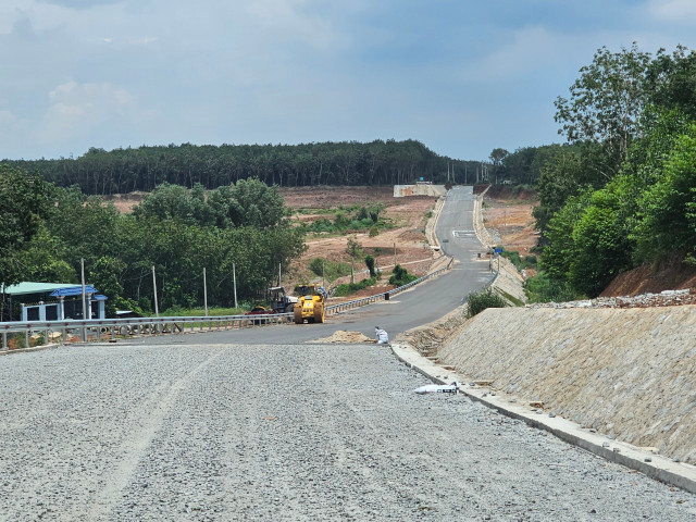 Binh Duong: Can canh du an xay dung duong va cau Vam Tu-Hinh-6