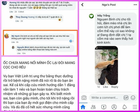 Tuyên truyền thực dưỡng trị ung thư là tội ác Tuyen truyen thuc duong tri ung thu la toi ac