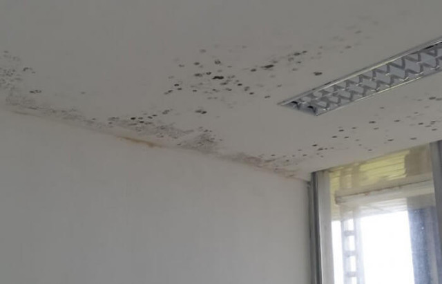 Cách xử lý nấm mốc khắp nhà để không hít phải độc - Hình 4 Cach xu ly nam moc khap nha de khong hit phai doc-Hinh-4