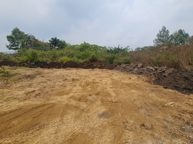 Ai dang thuc hien du an nao vet ho suoi Dam o Dong Nai?-Hinh-7