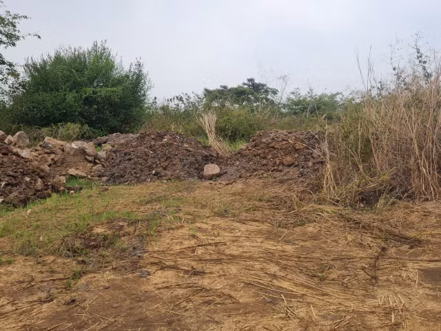 Ai dang thuc hien du an nao vet ho suoi Dam o Dong Nai?-Hinh-11