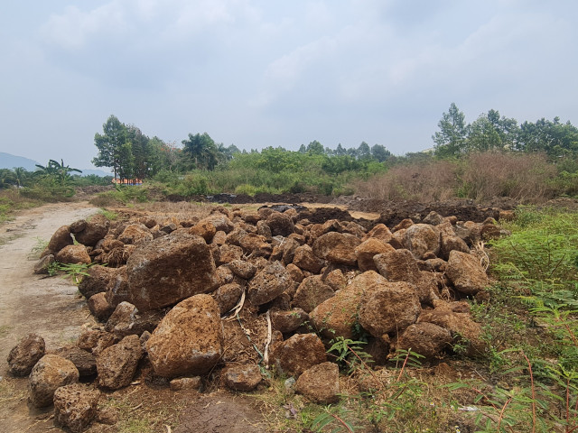 Ai dang thuc hien du an nao vet ho suoi Dam o Dong Nai?-Hinh-6