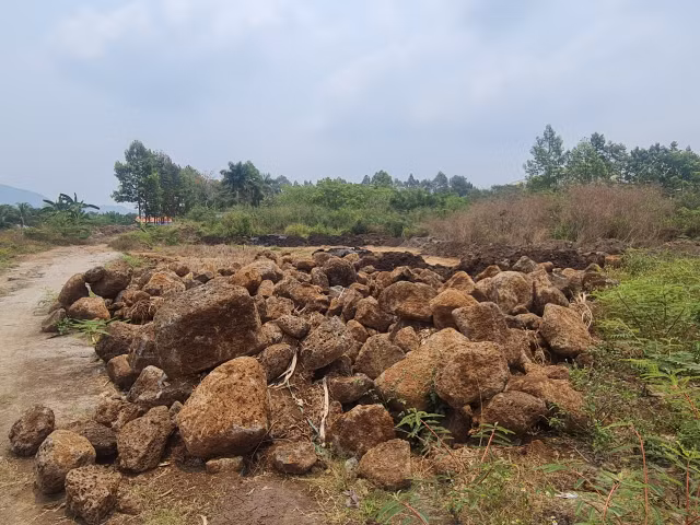 Ai dang thuc hien du an nao vet ho suoi Dam o Dong Nai?-Hinh-6