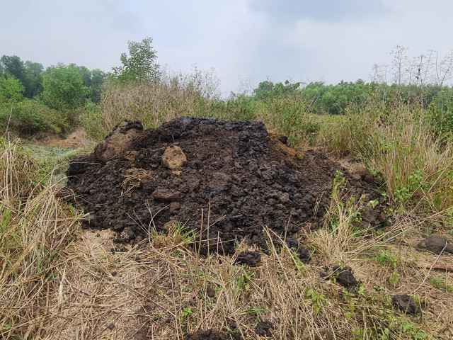 Ai dang thuc hien du an nao vet ho suoi Dam o Dong Nai?-Hinh-8