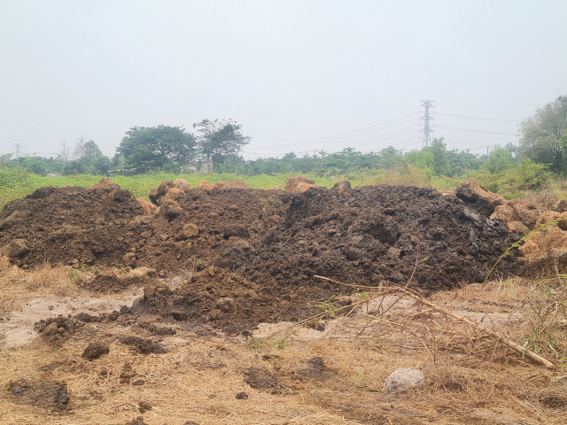 Ai dang thuc hien du an nao vet ho suoi Dam o Dong Nai?-Hinh-10