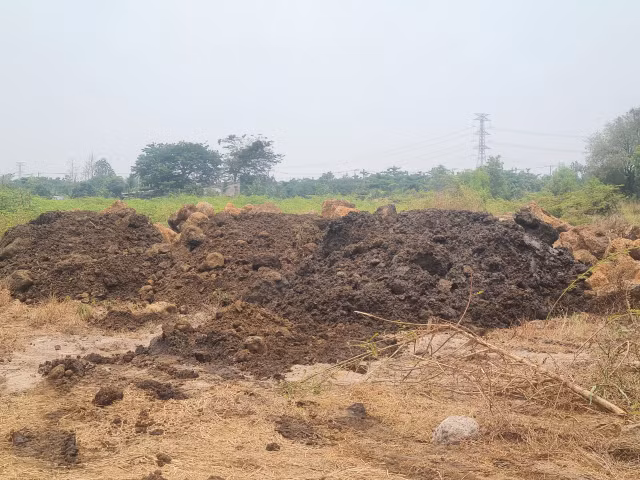 Ai dang thuc hien du an nao vet ho suoi Dam o Dong Nai?-Hinh-10