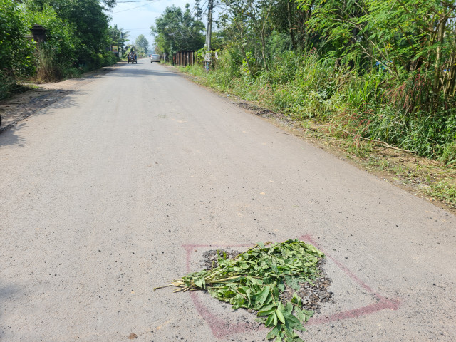 Trảng Bom (Đồng Nai): Dân tưới nước khiến đường tiền tỉ vừa nghiệm thu đã hỏng? - Hình 15 Trang Bom (Dong Nai): Dan tuoi nuoc khien duong tien ti vua nghiem thu da hong?-Hinh-15