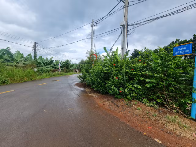 Trang Bom (Dong Nai): Cty Hung Phi va Cty Dai Dai Hung la nhung “ong trum” du thau dau tu cong?-Hinh-6