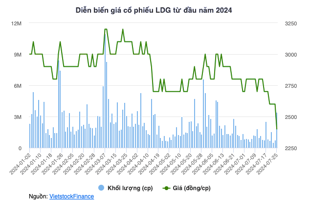 Dau tu LDG bi yeu cau mo thu tuc pha san, co phieu giam san-Hinh-3