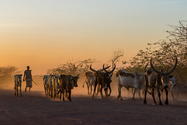 Điều lạ ở Ethiopia: Không có họ, lịch dài tới 13 tháng - Hình 10 Dieu la o Ethiopia: Khong co ho, lich dai toi 13 thang-Hinh-10