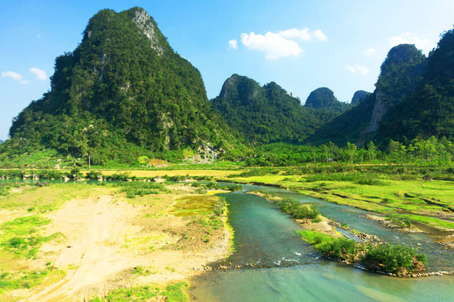 Những loài đặc hữu hiếm có ở vườn quốc gia Vũ Quang Nhung loai dac huu hiem co o vuon quoc gia Vu Quang