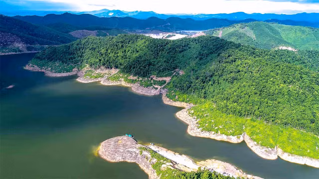 Những loài đặc hữu hiếm có ở vườn quốc gia Vũ Quang - Hình 2 Nhung loai dac huu hiem co o vuon quoc gia Vu Quang-Hinh-2