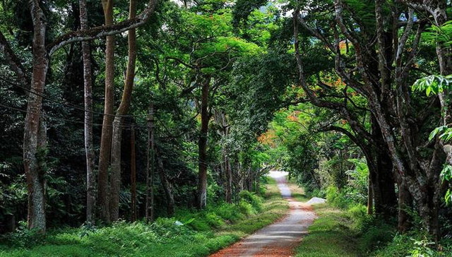 Ba Vì linh thiêng vượng khí và chuyện ly kỳ bí ẩn trong đó - Hình 9 Ba Vi linh thieng vuong khi va chuyen ly ky bi an trong do-Hinh-9