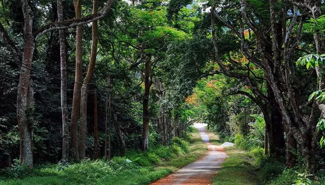 Ba Vi linh thieng vuong khi va chuyen ly ky bi an trong do-Hinh-9