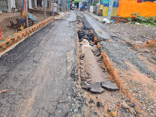 Dong Nai: Duong tien ty o thi tran Hiep Phuoc 