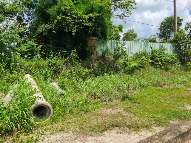 Dong Nai: VMEP de hoang hon 70% dien tich dat tai KCN Ho Nai?-Hinh-10