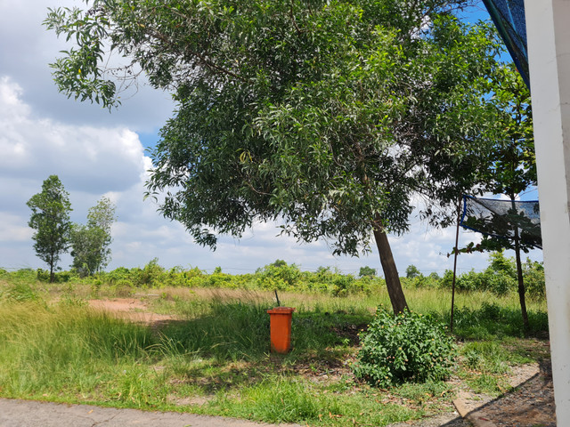 Dong Nai: VMEP de hoang hon 70% dien tich dat tai KCN Ho Nai?-Hinh-11