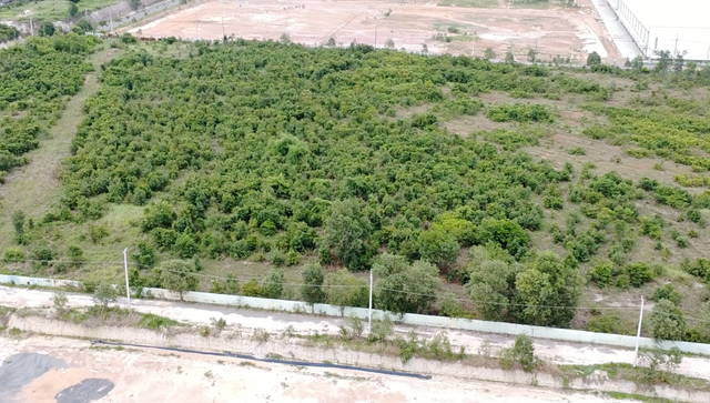 Dong Nai: VMEP de hoang hon 70% dien tich dat tai KCN Ho Nai?-Hinh-5