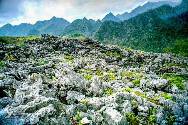 Khám phá Cao nguyên đá Đồng Văn - Hình 3 Kham pha Cao nguyen da Dong Van-Hinh-3
