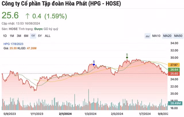 Em re ty phu Tran Dinh Long thoai het von khoi Tap doan Hoa Phat-Hinh-2