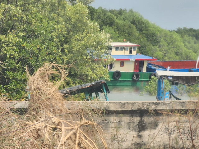 TP.HCM: DN nào đang thực hiện dự án di dời dân tại huyện Cần Giờ? - Hình 8 TP.HCM: DN nao dang thuc hien du an di doi dan tai huyen Can Gio?-Hinh-8