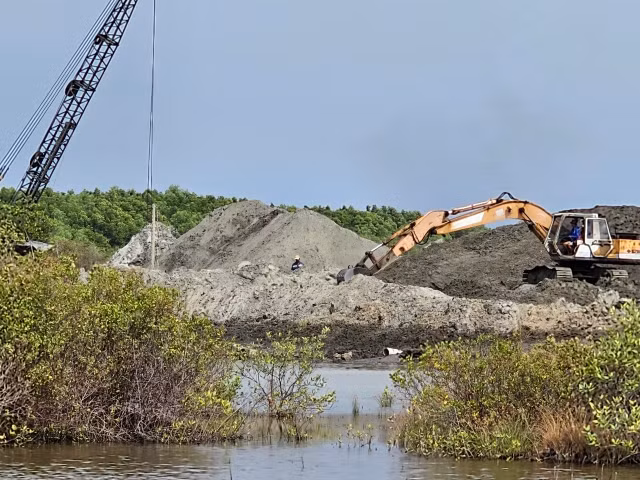 TP.HCM: DN nao dang thuc hien du an di doi dan tai huyen Can Gio?-Hinh-3