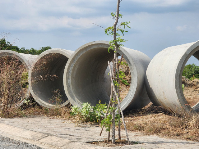 TP.HCM: DN nào đang thực hiện dự án di dời dân tại huyện Cần Giờ? - Hình 10 TP.HCM: DN nao dang thuc hien du an di doi dan tai huyen Can Gio?-Hinh-10