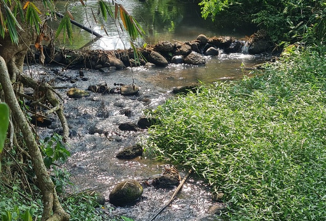 Soi nang luc nha thau chuyen lam du an chong ngap tai Dong Nai-Hinh-5