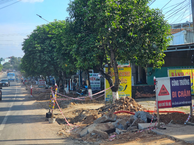 Dong Nai: “Muc so thi” Du an Dai tu, sua chua duong Quang Trung-Hinh-19