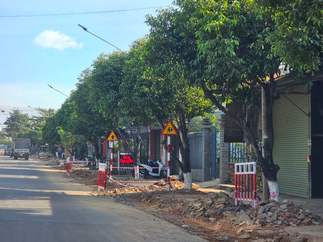 Dong Nai: “Muc so thi” Du an Dai tu, sua chua duong Quang Trung-Hinh-17
