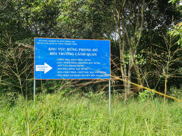 Dong Nai: “La phoi xanh” cua TP Bien Hoa ngay cang thung lon?