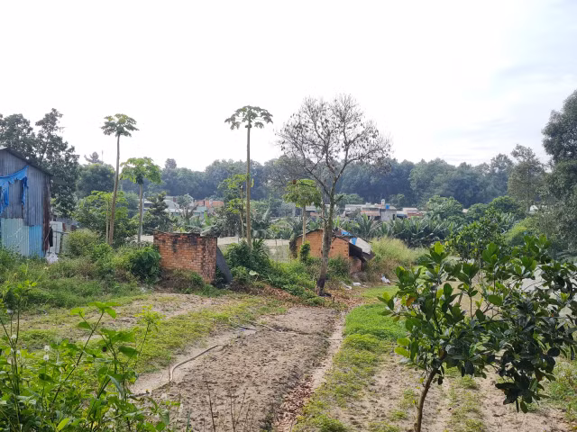 Dong Nai: “La phoi xanh” cua TP Bien Hoa ngay cang thung lon?-Hinh-2