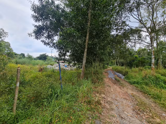 Dong Nai: “La phoi xanh” cua TP Bien Hoa ngay cang thung lon?-Hinh-13