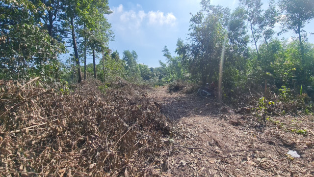 Bien Hoa (Dong Nai): Rung phong ho Bien Hoa tiep tuc bi “duc pha”?-Hinh-8