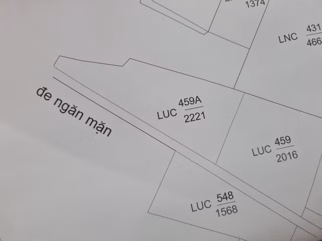 Nhon Trach (Dong Nai): “Gong minh” xu li hau cap GCNQSDD chong lan ranh-Hinh-16