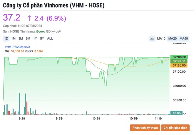 Vi sao co phieu VHM 'tim lim' tu dau phien giao dich hom nay?-Hinh-2