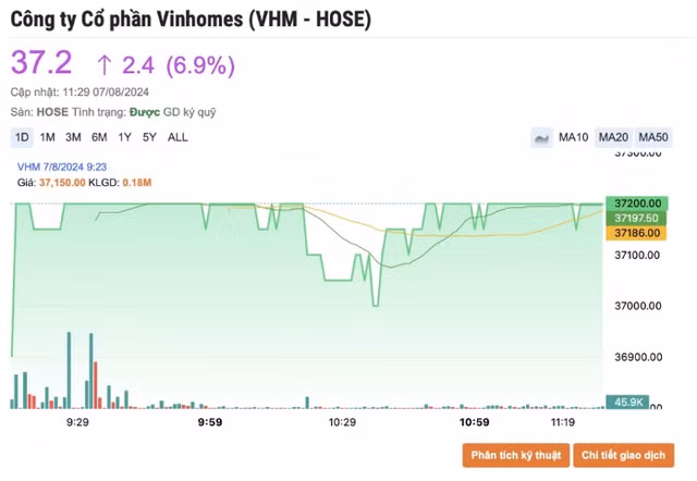 Vi sao co phieu VHM 'tim lim' tu dau phien giao dich hom nay?-Hinh-2