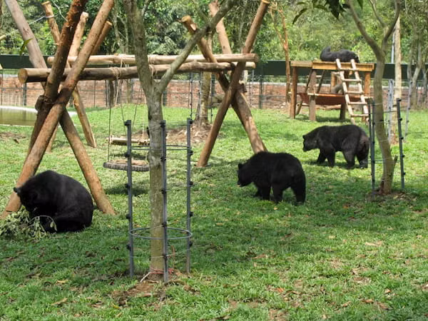 Vuon quoc gia Cat Tien so huu nhung bau vat khien the gioi ngo ngang-Hinh-15