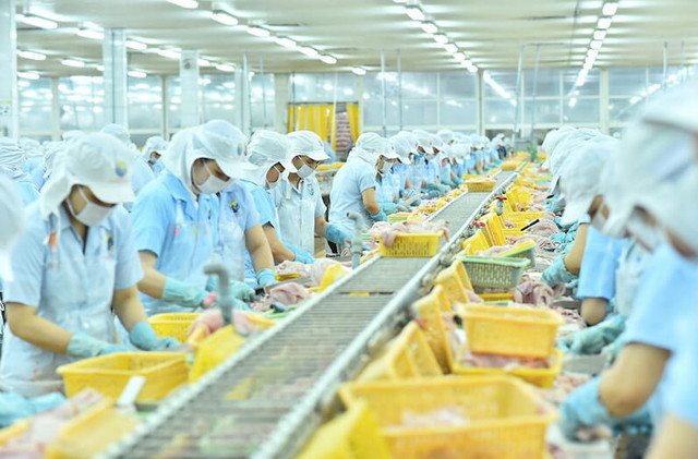 Nam Việt (ANV) phát hành cổ phiếu, dự kiến tăng vốn gấp đôi Nam Viet (ANV) phat hanh co phieu, du kien tang von gap doi
