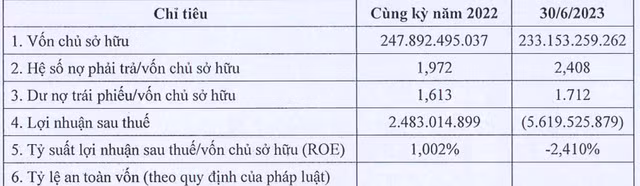 Phuc Hau bao lo 5,6 ty dong, ganh no trai phieu gan 400 ty dong-Hinh-2