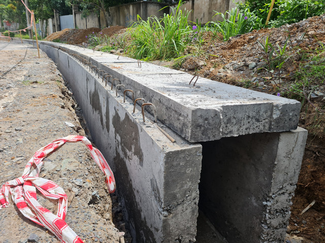 Dong Nai: Muong thoat nuoc duong Dinh Quang An duoc thiet ke nhu the nao?-Hinh-4