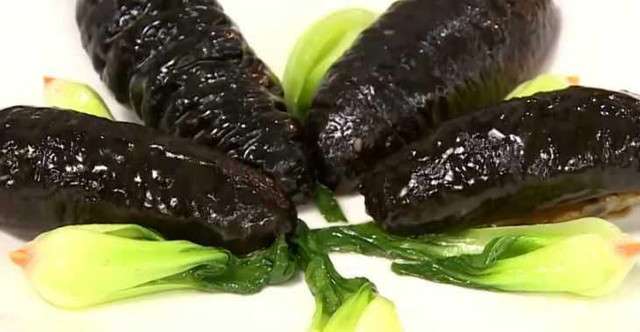 Cô gái nhập viện vì hải sâm mắc kẹt trong vùng kín gây viêm ngứa Co gai nhap vien vi hai sam mac ket trong vung kin gay viem ngua