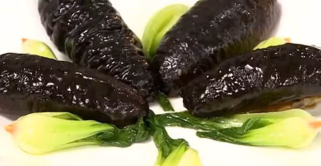 Cô gái nhập viện vì hải sâm mắc kẹt trong vùng kín gây viêm ngứa Co gai nhap vien vi hai sam mac ket trong vung kin gay viem ngua