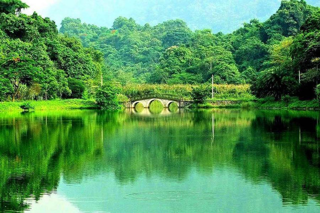 Những điều kỳ bí ở vườn quốc gia Cúc Phương Nhung dieu ky bi o vuon quoc gia Cuc Phuong