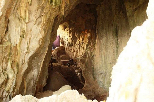 Những điều kỳ bí ở vườn quốc gia Cúc Phương - Hình 13 Nhung dieu ky bi o vuon quoc gia Cuc Phuong-Hinh-13