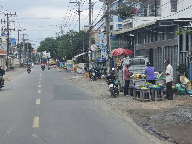 Dong Nai: Can canh duong Nguyen Tri Phuong TP Bien Hoa-Hinh-3