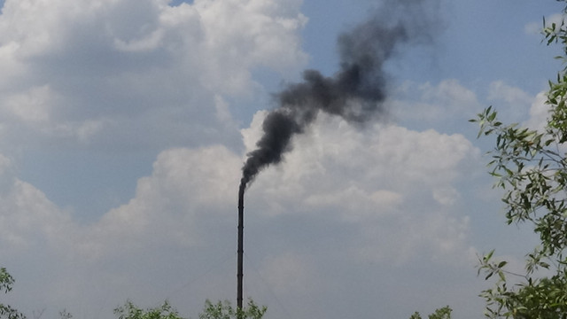 Vu chay nha may rac: cong ty Thien Thanh tung gay o nhiem moi truong-Hinh-14