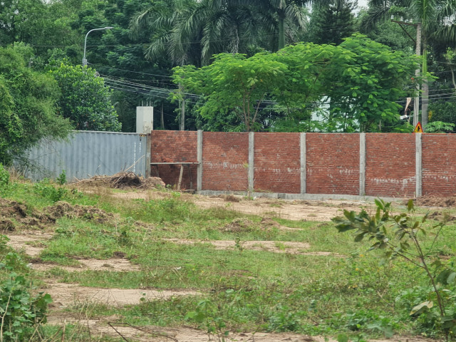 Vì sao dự án Cụm công nghiệp Tam An chậm tiến độ hơn 1 thập kỷ vẫn chưa bị thu hồi? - Hình 4 Vi sao du an Cum cong nghiep Tam An cham tien do hon 1 thap ky van chua bi thu hoi?-Hinh-4